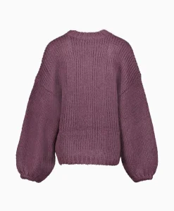 Best Sale Pullover 233-1670-23379 Paars Dames Truien